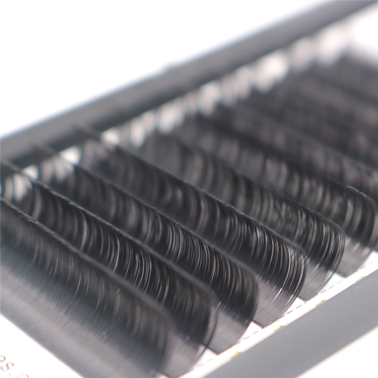 best false  individual eyelashes-D